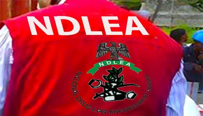 NDLEA salary